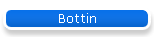 Bottin